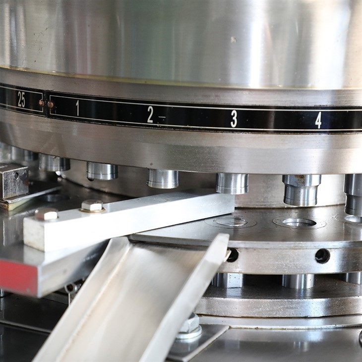 Multi Station Rotary Press