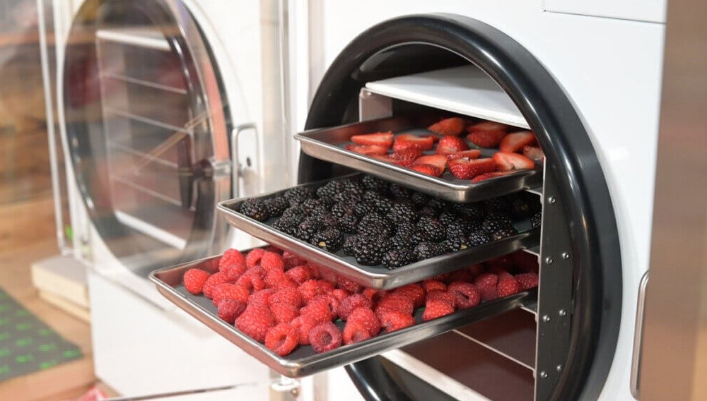 Freeze Dryer Applications | Shaanxi Achieve chem-tech Freeze Dryer Applications | Shaanxi Achieve chem-tech